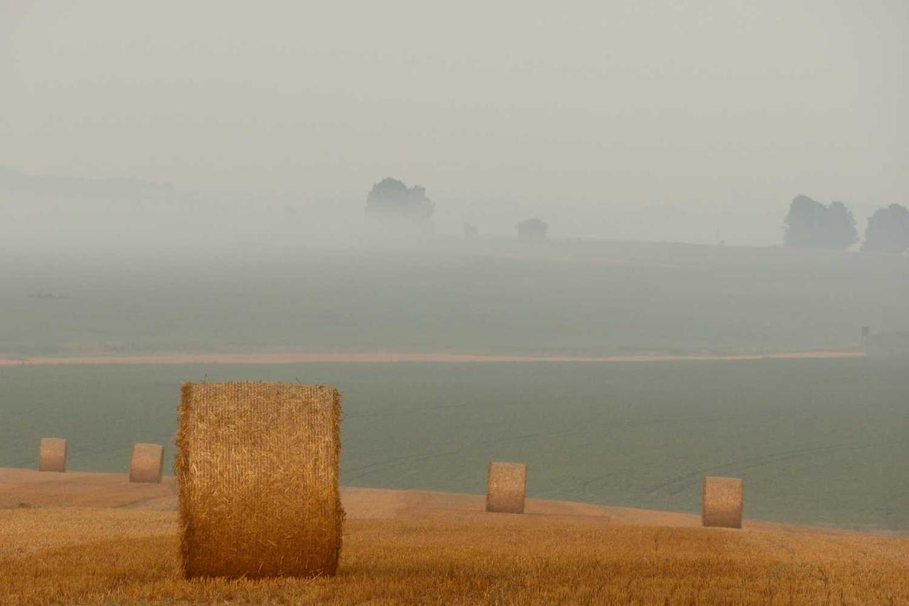 Et porro temporibus